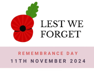 A graphic against a white background with a red poppy, referencing to Remembrance Day.