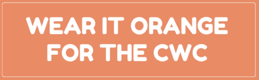 wear it orange for the care workers charity